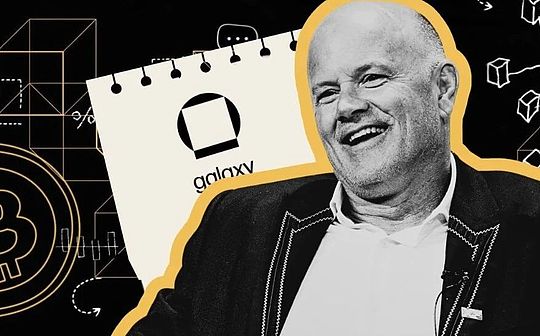Galaxy创始人Michael Novogratz：华尔街难民