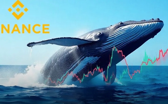Del intercambio a las finanzas en cadena: comprenda de dónde viene el «agua viva» de Binance en un artículo