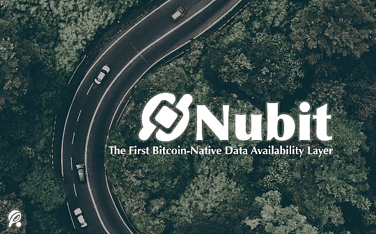 Nubit——改变比特币的模块化索引器