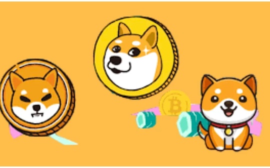 Memecoin 的狂热可以教会我们一些东西