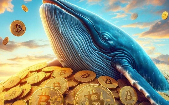 The revelation of Bitcoin Ancient Giant Whale Clearance