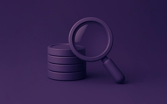 Niveaux de gris: macro raisons pour un cryptage favorable