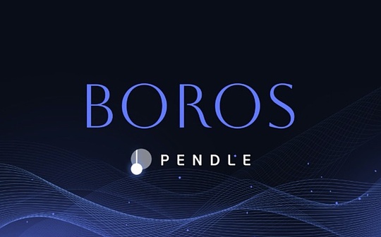 Interpretation of Pendle and Boros: Converting capital rates into DeFi derivatives