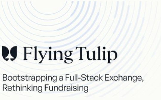Investment institution: AC’s new work Flying Tulip is valued at 1 billion. What innovations does it have?
