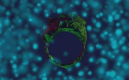 Todo nace: tres fuerzas misteriosas impulsan la digitalización de activos