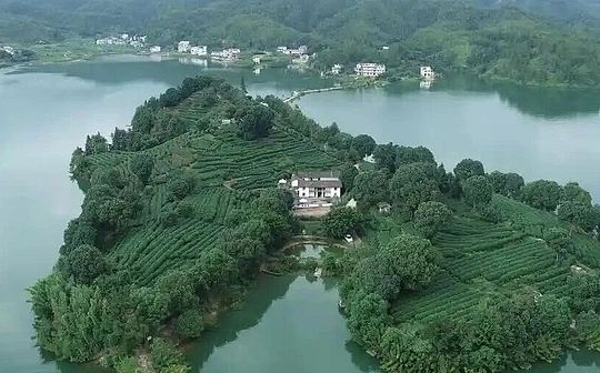 حالة كلاسيكية أم سابقة سيئة؟تم نقل أصول مجموعة برينس إلى وزارة العدل الأمريكية