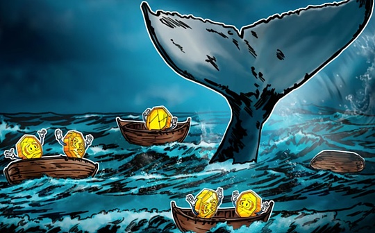 比特币的“巨鲸”真能决定市场走势吗?