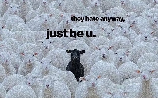 Is time spent in the crypto industry a waste of life?