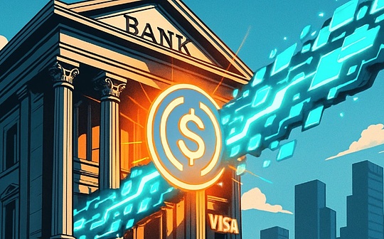 A brief discussion on Visa’s support for stable currency settlement