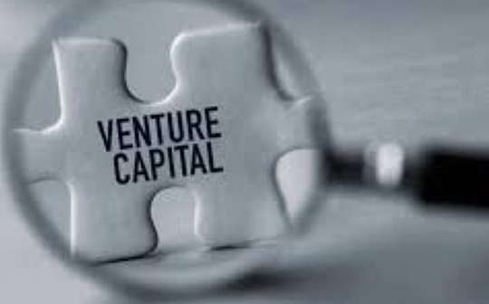 加密VC不會死 只是市場「大浪淘沙」